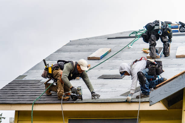Professional Roofing technician working in Roans Prairie, TX